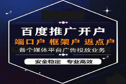 成功案例：网络推广与竞价广告的完美结合